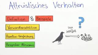 Altruistisches Verhalten  Biologie  Neurobiologie und Verhalten [upl. by Gibby]