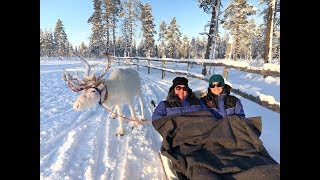 Finland Part 4  Reindeer Ride amp Exploring Kakslauttanen Arctic Resort [upl. by Selina138]