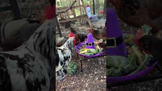 Spooky Snacks Revealed Fall Treat Fest For The Flock 🐔🎩 [upl. by Carrick]