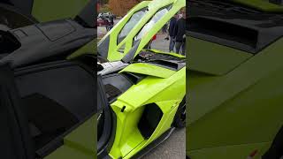 1250 Lamborghini Aventador Ultimae Roadsters [upl. by Ahtelat]