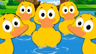 Duck Song  Nursery Rhymes  Kids Songs  Childrens Rhymes  Baby Videos [upl. by Blondelle216]