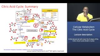 MCAT® Citric Acid Cycle  Part 2 Summary of the Citric Acid Cycle [upl. by Eiramoj]