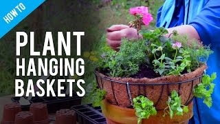 A Guide To Hanging Basket Plants amp Flowers [upl. by Ocnarf152]