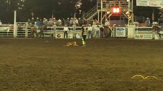 PRCA Rodeo clown JJ Harrison steals Clackamas County Sheriff K9 [upl. by Valerie]