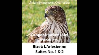 Bizet LArlesienne Suite No 2 IV Farandole  C HAWKENSPIEL [upl. by Nelaf]