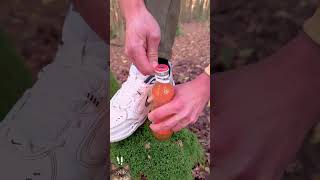 Amazing Lifehack survival lifehacks camping bushcraft [upl. by Helene]