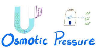 Osmotic Pressure  Osmosis  Colligative property  Physiology Series [upl. by Eedia]