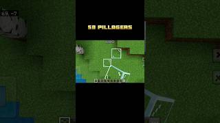 Minecraft 50 Pillagers vs Anvil😱 [upl. by Roley989]