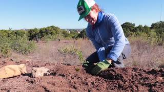 Balcones Canyonlands Preserves Vireo Preserve Bioswales Project [upl. by Hollenbeck870]