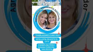 Elecciones 27 Noviembre Soeme [upl. by Aridatha]