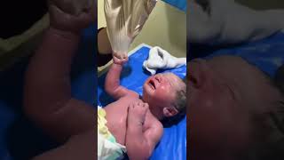 look at his grip  newborn whatsappstatus viral trendingshorts junior trending babylove [upl. by Nosaj]