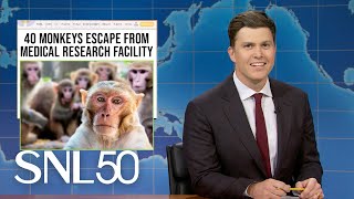 Weekend Update 43 Monkeys Escape Research Facility Moo Dengs New Rival  SNL [upl. by Smiley]