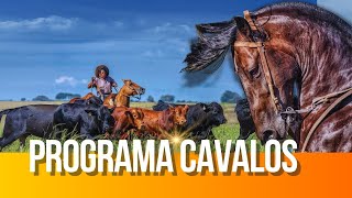 Novidades no Freio de Ouro final do Brasileiro de Polo e Jumentos criados como pets [upl. by Trebla]