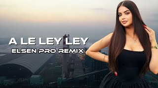 Elsen Pro  A Le Ley Ley Tiktok Remix [upl. by Yralam]