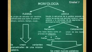 Introducción a la Morfología [upl. by Zerline]