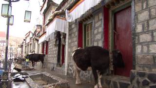 Gyantse Tibet [upl. by Ynney239]