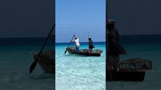 Fishing life in Zanzibar africatravels africanhustle youtubeshorts beautiful beach moreviews [upl. by Adirem]