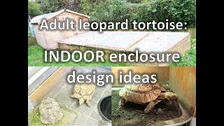 Adult Leopard Tortoises INDOOR enclosure design ideas  happytortoises [upl. by Lemaceon]