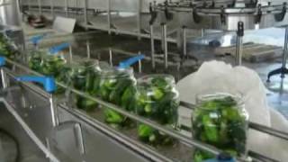 Tecnoceam Cucumber Grading Processing and Filling Line [upl. by Hardden128]