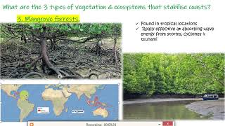 video 3 coasts how does vegetation stabilise coastlines [upl. by Inavihs]