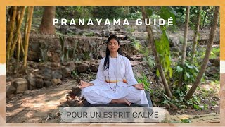 Pranayama Guidé pour un Esprit Calme  SRMD Yoga  SRMD French [upl. by Hervey580]