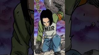 Are Android 17 amp 18 Immortal [upl. by Aram397]