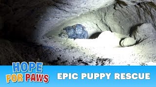 Epic puppy rescue  18 feet into the earth Dangerous Hope For Paws rescue puppy [upl. by Liatnahs]