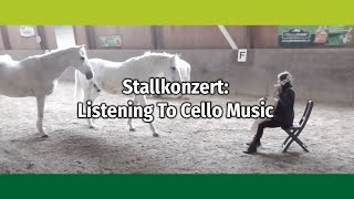 Horses listening to cello music [upl. by Noni665]