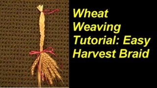 Wheat Weaving Easy Harvest Braid [upl. by Kelbee]