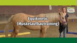 Equikinetic Muskelaufbautraining Basiserklärungen mit Andrea EschbachKindler [upl. by Cud]