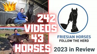 Friesian Horses Review 2023  Wow What a year Dreams came true thanks admins❤️ Friesian Horses [upl. by Nyladnar]