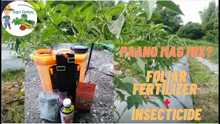 Paano Mag mix ng foliar fertilizer at insecticide How to mix foliar fertilizer and Insecticide [upl. by Amesari]