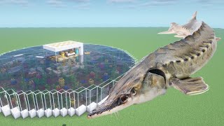 How To Make a Sturgeon Farm in Minecraft PE [upl. by Anek960]