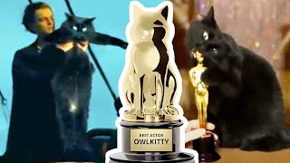 THE MOST FAMOUS HOLLYWOOD CAT 😸 OwlKitty [upl. by Attenoj671]