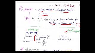 class 11 algae plant kingdom [upl. by Meit]