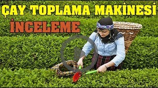 ÇAY BİÇME ÇAY TOPLAMA MAKİNESİ ŞARJLI [upl. by Power543]