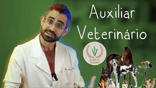 Tudo sobre o curso de AUXILIAR VETERINÁRIO [upl. by Anaigroeg]