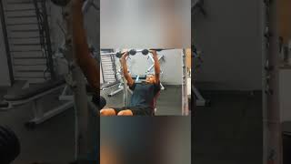 SUPINO 45° HALTER TREINO DE MUSCULAÇÃO PARTE 7 [upl. by Eido622]