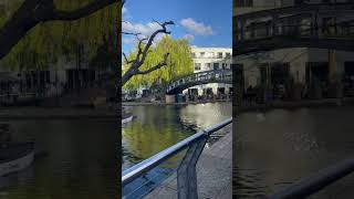 Camden Market travel londonmarket foryou [upl. by Tchao]