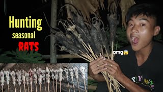 Hunting seasonal rat🐁  How to trap rats Nagaland Konyak😍 [upl. by Ddej787]