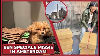 EEN SPECIALE MISSIE IN AMSTERDAM  2043 [upl. by Terina]