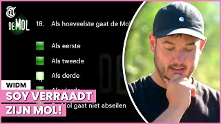 Testvraag verklapt wie de Mol is [upl. by Eiwoh]