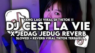 DJ CEST LA VIE JEDAG JEDUG REVERB VIRAL TIKTOK TERBARU 2024 [upl. by Gualterio]