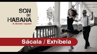 Pasos de Casino Básico – Sácala  Exhíbela [upl. by Spieler]