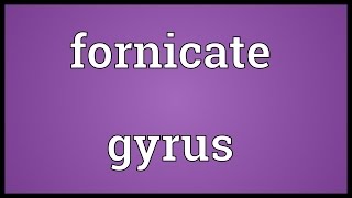 Fornicate gyrus Meaning [upl. by Aynotahs]