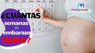 ¿Cómo calcular cuántas semanas de embarazo tengo  Maternarco [upl. by Nyrraf]