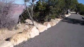 Stupidity at the Grand Canyon [upl. by Amsed]