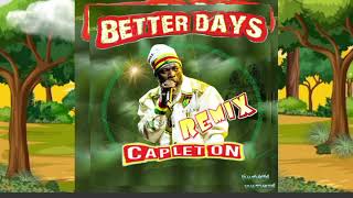 BETTER DAYS REMIX FT CAPLETON amp BLUFLAME MUSIC VISUALIZER [upl. by Ikey]