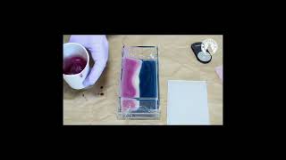 How to make quotHanger Swirl and Gradation Soapquot Making Cold process soap shorts [upl. by Aciraj]