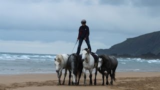 Connemara Liberty Team Training [upl. by Aicetel210]